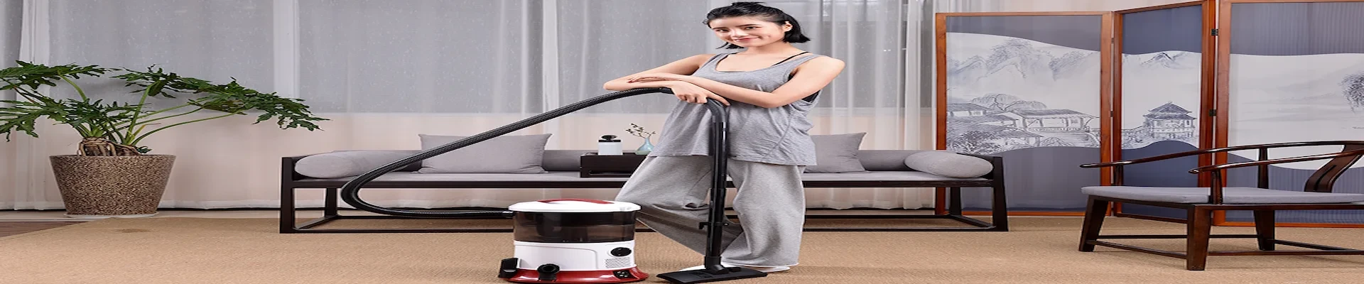 Wet Dry vacuum cleaner series — Houseclean Electric factory Suzhou China
